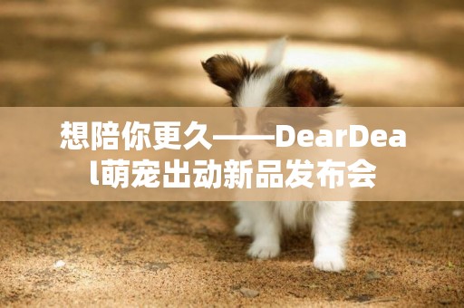想陪你更久——DearDeal萌寵出動新品發布會 想陪你更久——DearDeal萌寵出動新品發布會