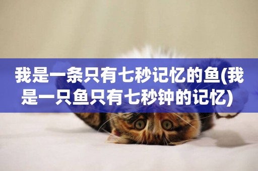 我是一條只有七秒記憶的魚(我是一只魚只有七秒鐘的記憶) 
