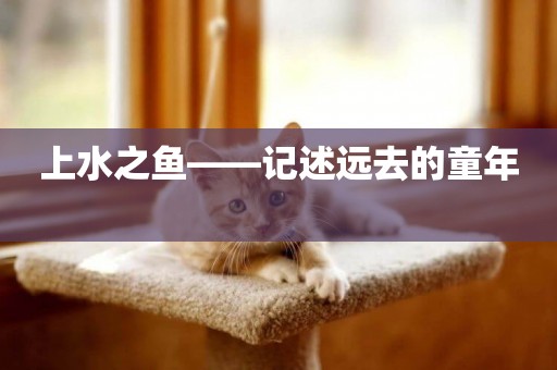 上水之魚——記述遠去的童年 
