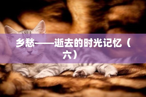 鄉愁——逝去的時光記憶（六） 