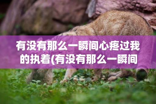 有沒有那么一瞬間心疼過我的執著(有沒有那么一瞬間心情突然低落) 