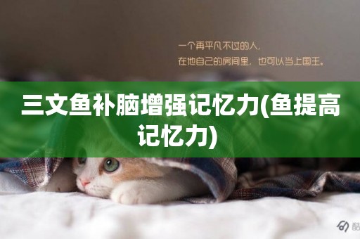 三文魚補腦增強記憶力(魚提高記憶力) 