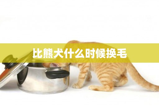 比熊犬什么時候換毛