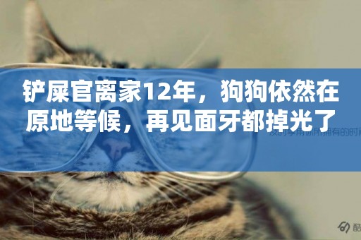 鏟屎官離家12年，狗狗依然在原地等候，再見面牙都掉光了 