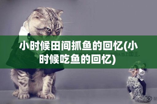 小時候田間抓魚的回憶(小時候吃魚的回憶) 