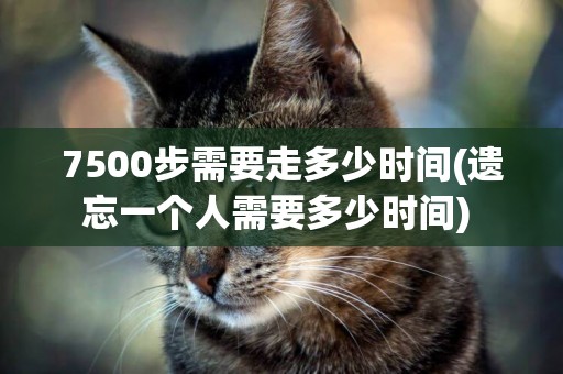 7500步需要走多少時間(遺忘一個人需要多少時間) 