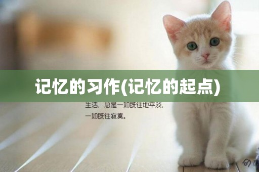 記憶的習作(記憶的起點) 