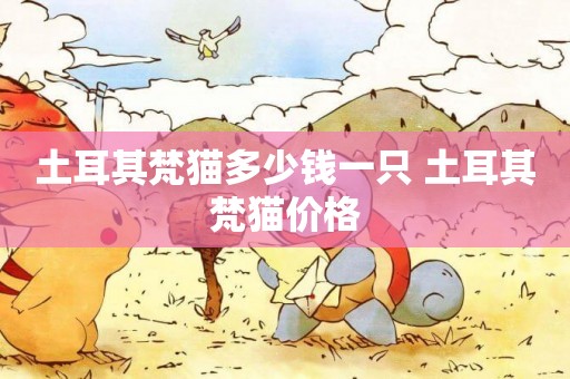 土耳其梵貓多少錢一只 土耳其梵貓價格