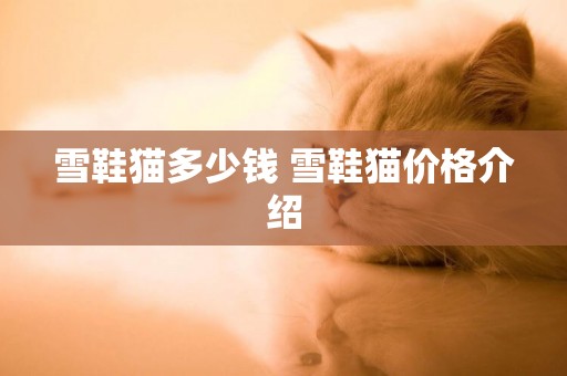 雪鞋貓多少錢 雪鞋貓價格介紹