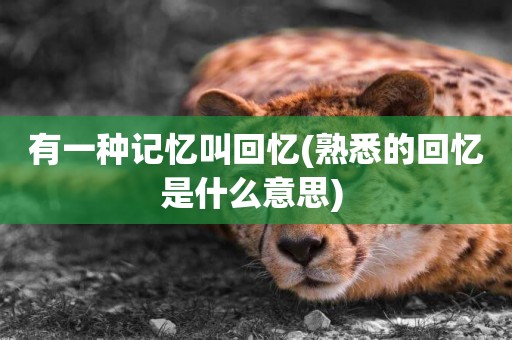 有一種記憶叫回憶(熟悉的回憶是什么意思) 