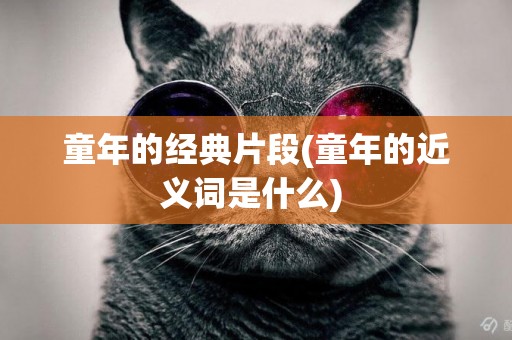 童年的經典片段(童年的近義詞是什么) 
