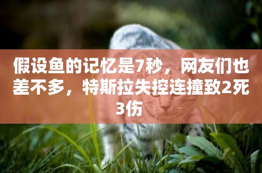 假設魚的記憶是7秒，網友們也差不多，特斯拉失控連撞致2死3傷 