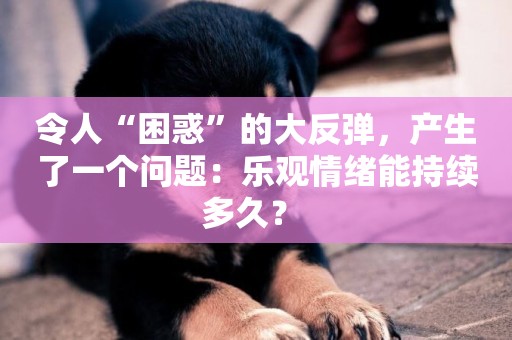 令人“困惑”的大反彈，產生了一個問題：樂觀情緒能持續多久？ 