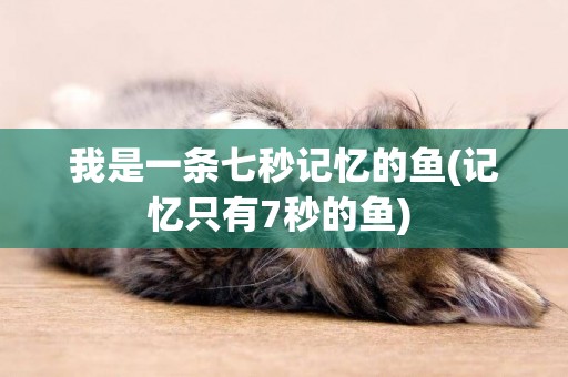 我是一條七秒記憶的魚(記憶只有7秒的魚) 