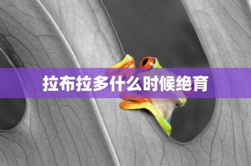 拉布拉多什么時候絕育