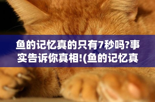 魚的記憶真的只有7秒嗎?事實告訴你真相!(魚的記憶真的只有7秒么) 
