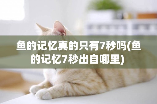 魚的記憶真的只有7秒嗎(魚的記憶7秒出自哪里) 