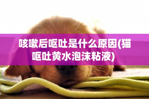 咳嗽后嘔吐是什么原因(貓嘔吐黃水泡沫粘液) 