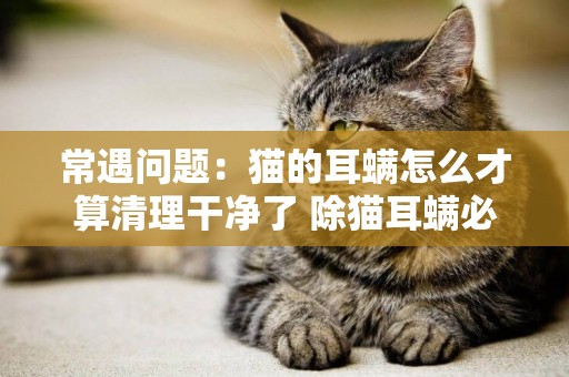 常遇問題：貓的耳螨怎么才算清理干凈了 除貓耳螨必看 