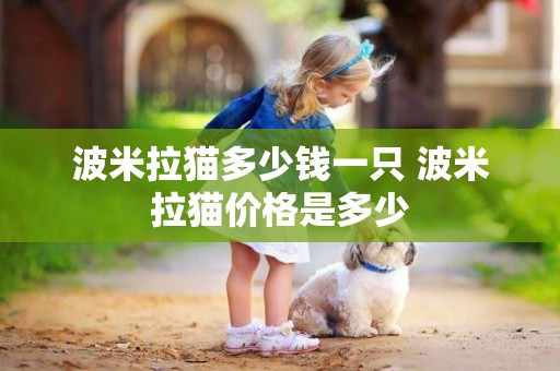 波米拉貓多少錢一只 波米拉貓價格是多少