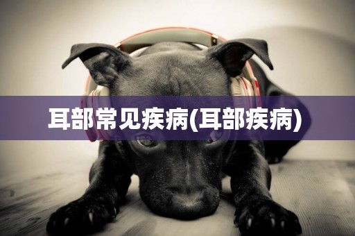 耳部常見疾病(耳部疾病) 