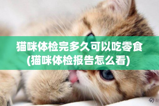 貓咪體檢完多久可以吃零食(貓咪體檢報告怎么看) 
