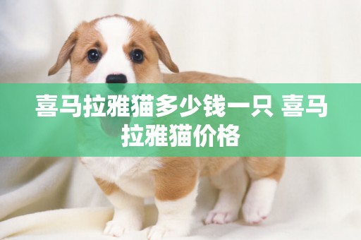 喜馬拉雅貓多少錢一只 喜馬拉雅貓價格