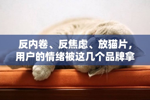 反內卷、反焦慮、放貓片，用戶的情緒被這幾個品牌拿捏了嗎？ 