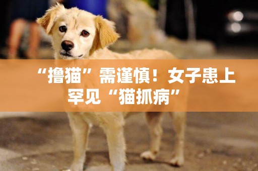 “擼貓”需謹慎！女子患上罕見“貓抓病” 