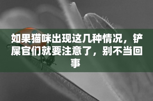 如果貓咪出現這幾種情況，鏟屎官們就要注意了，別不當回事 