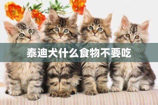 泰迪犬什么食物不要吃