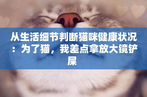 從生活細節判斷貓咪健康狀況：為了貓，我差點拿放大鏡鏟屎 