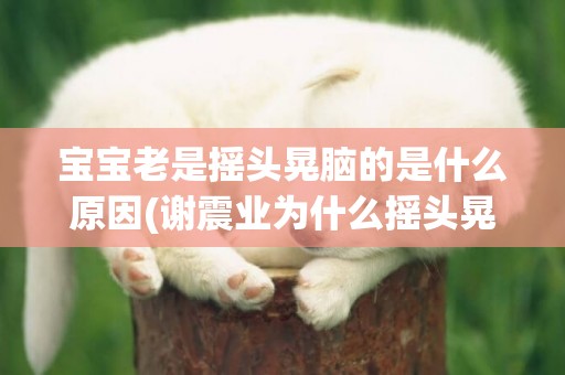 寶寶老是搖頭晃腦的是什么原因(謝震業為什么搖頭晃腦) 