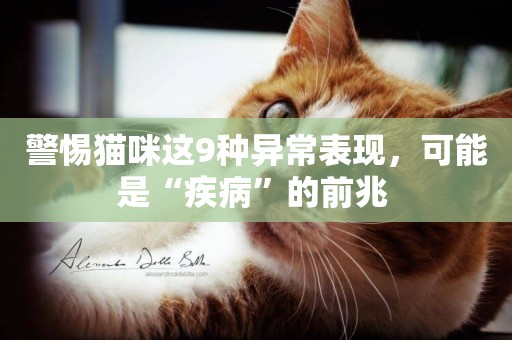 警惕貓咪這9種異常表現，可能是“疾病”的前兆 
