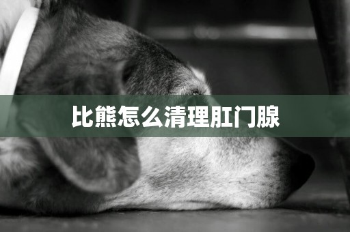 比熊怎么清理肛門腺