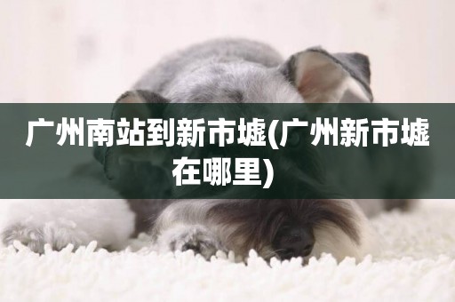 廣州南站到新市墟(廣州新市墟在哪里) 