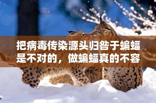 把病毒傳染源頭歸咎于蝙蝠是不對的，做蝙蝠真的不容易 