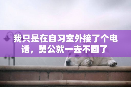 我只是在自習室外接了個電話，舅公就一去不回了 