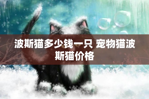 波斯貓多少錢一只 寵物貓波斯貓價格