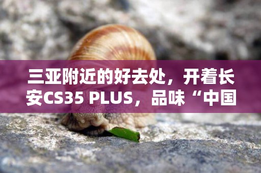 三亞附近的好去處，開著長安CS35 PLUS，品味“中國最美鄉村” 