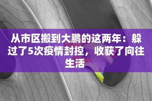 從市區搬到大鵬的這兩年：躲過了5次疫情封控，收獲了向往生活 