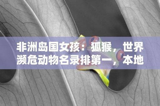 非洲島國女孩：狐猴，世界瀕危動物名錄排第一，本地土著以此為食 