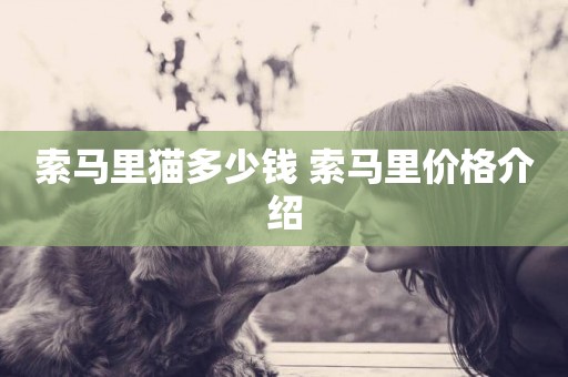 索馬里貓多少錢 索馬里價格介紹