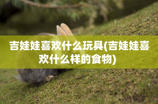吉娃娃喜歡什么玩具(吉娃娃喜歡什么樣的食物) 