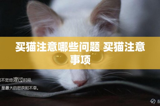買貓注意哪些問題 買貓注意事項
