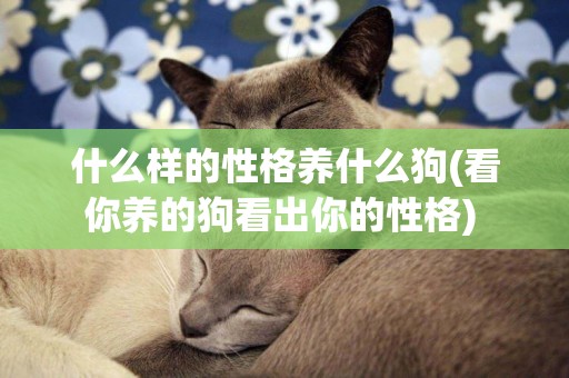 什么樣的性格養什么狗(看你養的狗看出你的性格) 