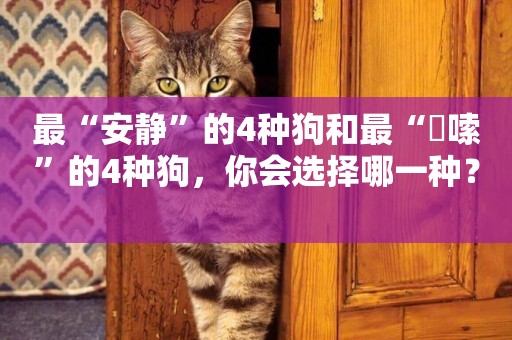 最“安靜”的4種狗和最“啰嗦”的4種狗，你會選擇哪一種？ 