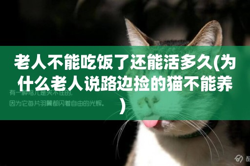 老人不能吃飯了還能活多久(為什么老人說路邊撿的貓不能養) 