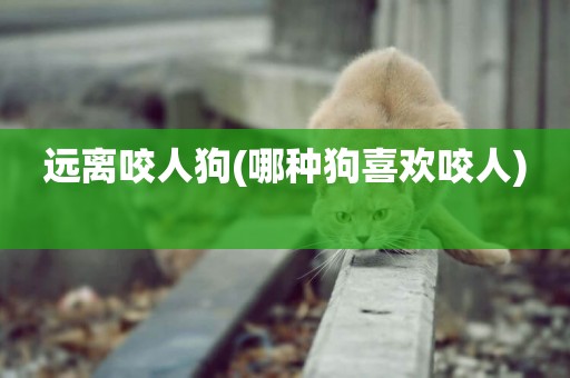 遠離咬人狗(哪種狗喜歡咬人) 