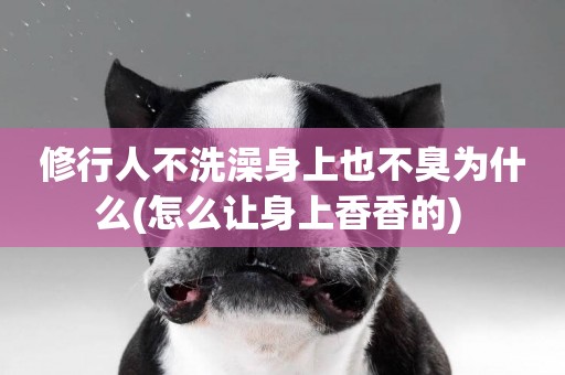 修行人不洗澡身上也不臭為什么(怎么讓身上香香的) 